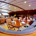 Comedor  - Sea Bird and Sea Star