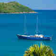 Sea Bird Cruise