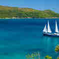 Sea Bird Cruise