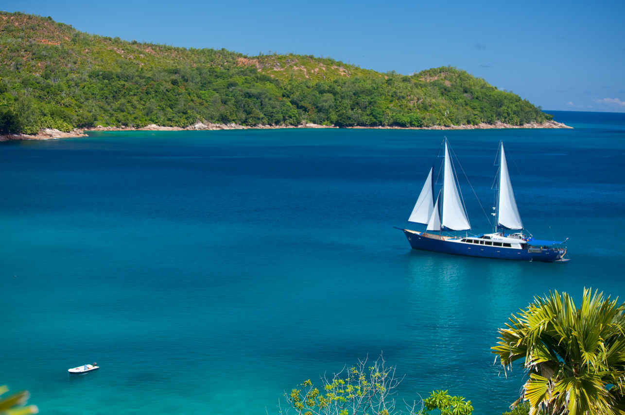 Sea Bird Cruise