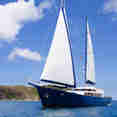 Sea Bird Cruise