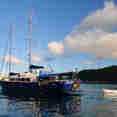 Sea Bird Cruise