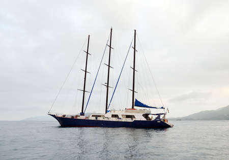 Sea Bird and Sea Star