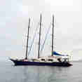 Sea Star Cruise