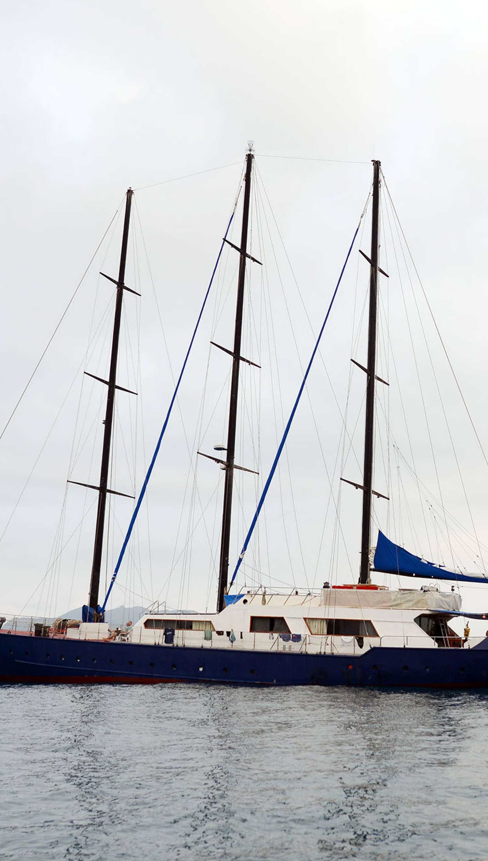 Sea Bird Cruise