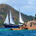 Sea Bird Cruise