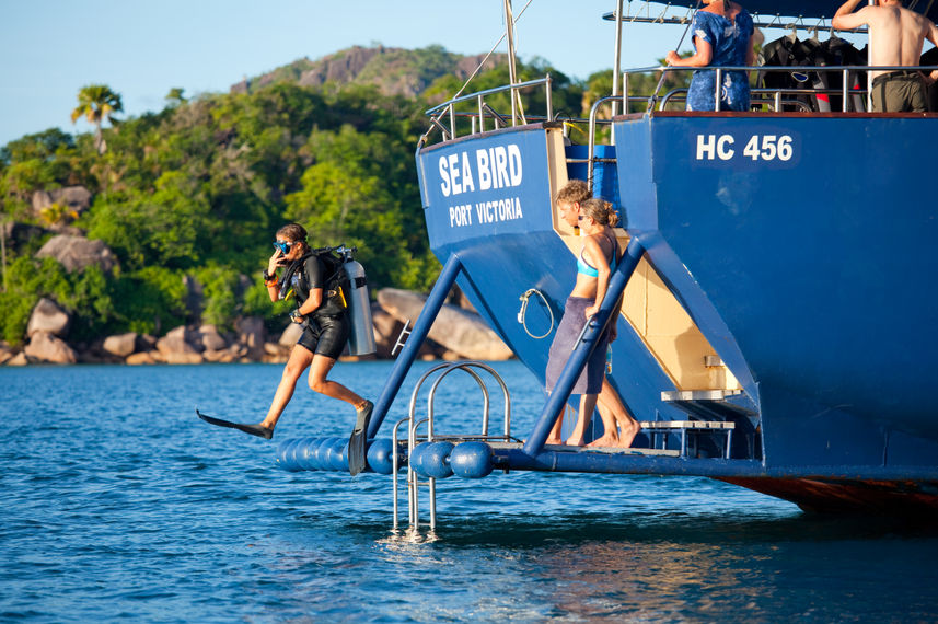 Dive Platform - Sea Bird and Sea Star