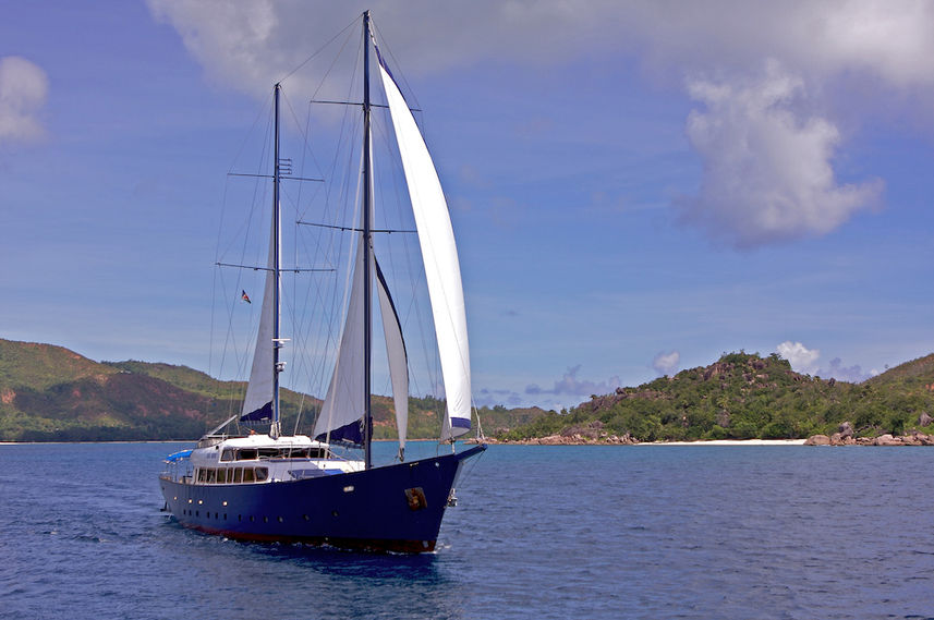 Sea Bird Cruise