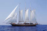 Pearl 111