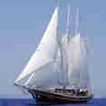 Pearl 111