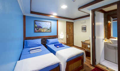Standard Cabins - Twin/Double 