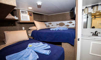 Standard Cabins