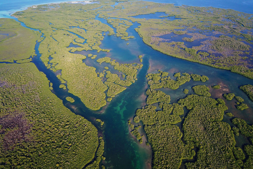 Canal Las Auras