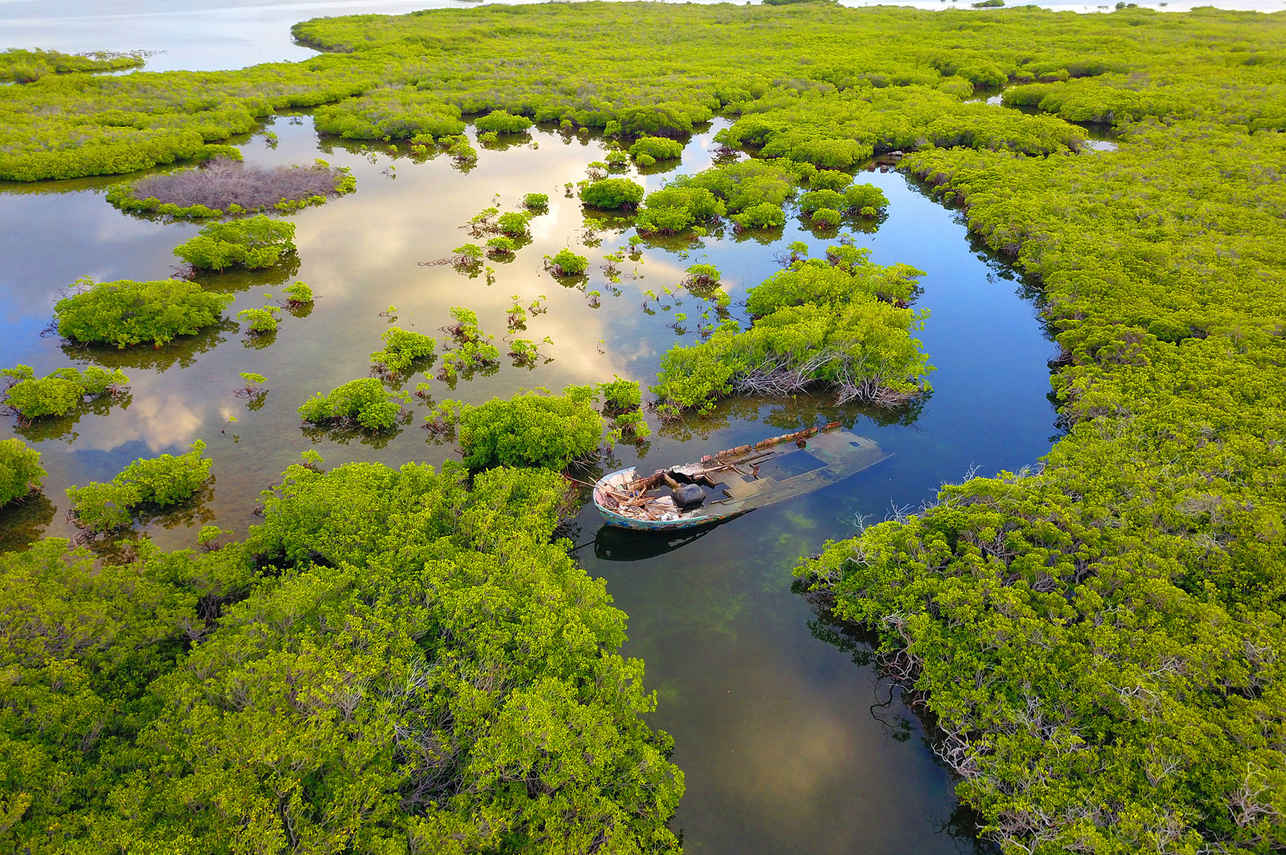 Cayo Anclitas