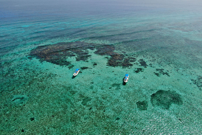 Zicht van boven - Jardines Avalon Fleet