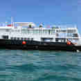 Jardines Avalon Fleet