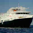 Jardines Avalon Fleet