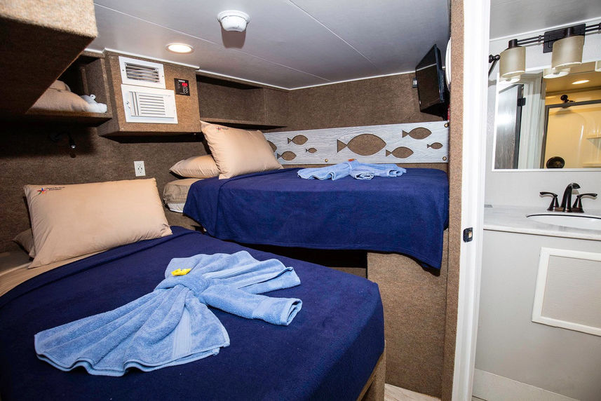 Cabina letto doppio - Jardines Avalon Fleet