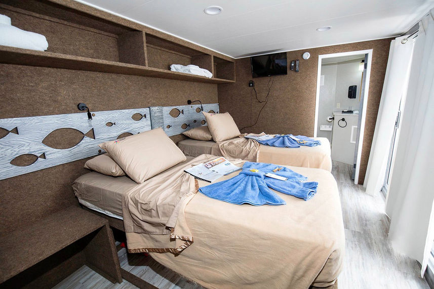 Cabina letto doppio - Jardines Avalon Fleet