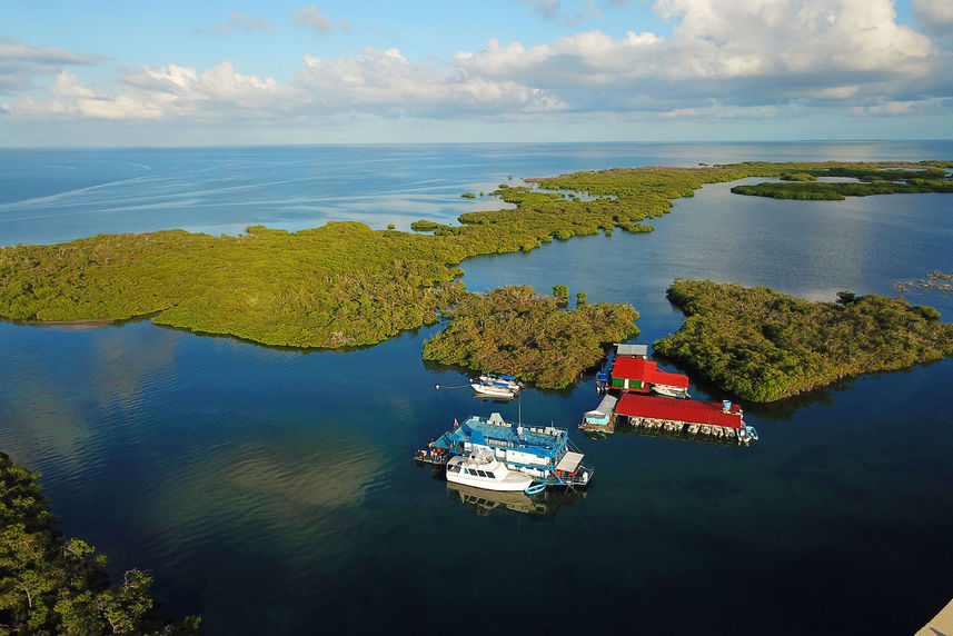 Zicht van boven - Jardines Avalon Fleet