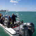 Dive Tender - Jardines Avalon Fleet