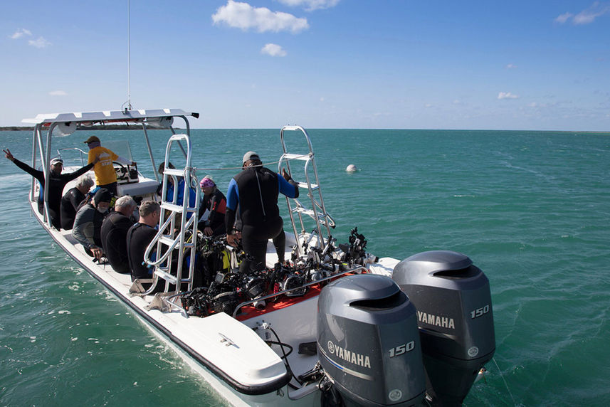 Dive Tender - Jardines Avalon Fleet