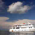 Jardines Avalon Fleet