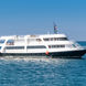 Jardines Avalon Charters