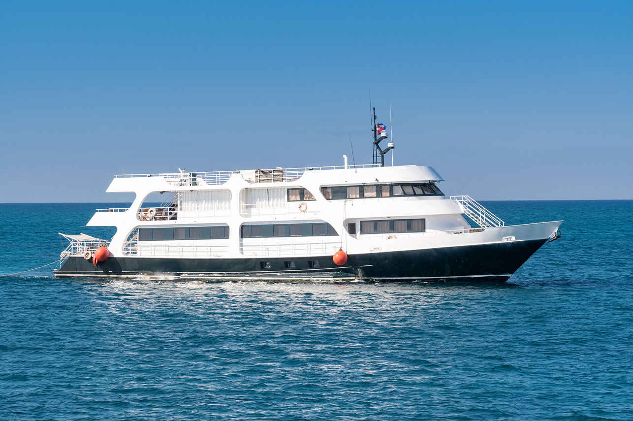 Jardines Avalon Charters