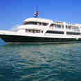 Jardines Avalon Charters
