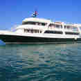 Jardines Avalon Charters