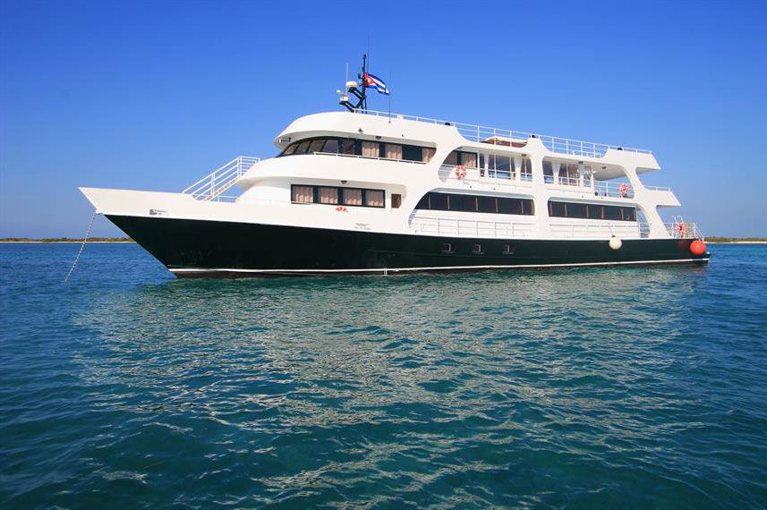 Jardines Avalon Charters