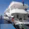 Jardines Avalon Charters