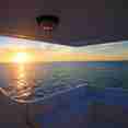 Jardines Avalon Charters