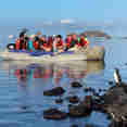 Dinghy Ride