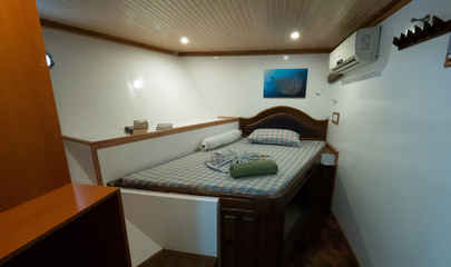 Lower Deck Single 