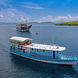 Diving Dhoni - Komodo Sea Dragon