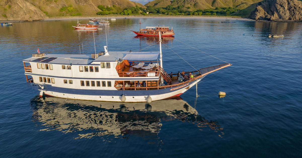 Komodo Sea Dragon — vessel photograph