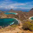 Explorations d'Iles - Komodo Sea Dragon