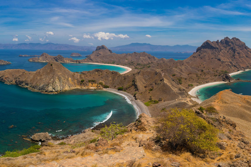 島探検 - Komodo Sea Dragon