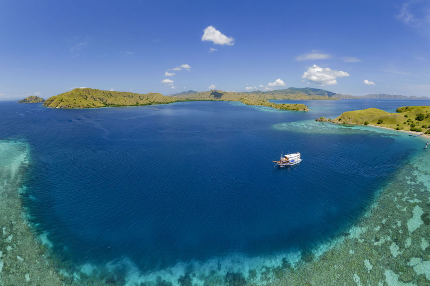 Aerial View - Komodo Sea Dragon