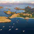 Explorations d'Iles - Komodo Sea Dragon