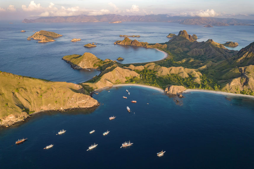 Island Exploration - Komodo Sea Dragon