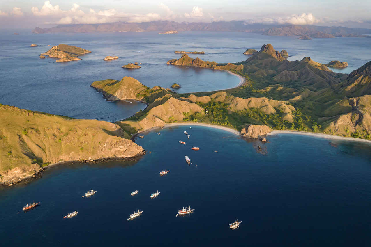 Esplorazione dell'isola - Komodo Sea Dragon