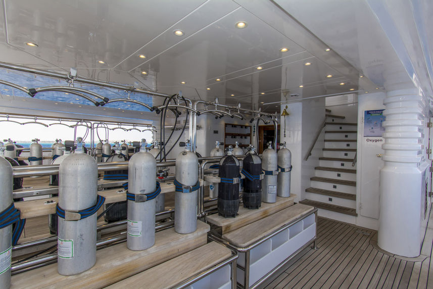 Dive deck - Golden Dolphin IV