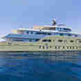 Golden Dolphin IV