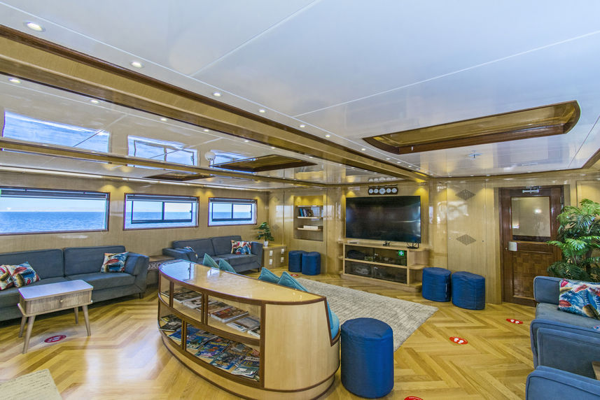 Salon interior - Golden Dolphin IV