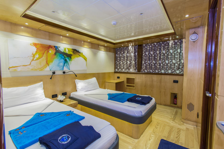 Cabina twin  - Golden Dolphin IV