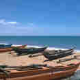 Island Exploration - G Adventures Sri Lanka