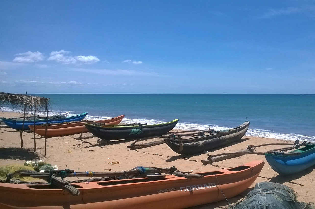 Esplorazione dell'isola - G Adventures Sri Lanka
